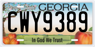GA license plate CWY9389