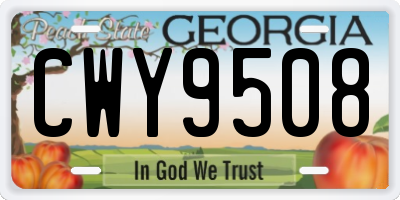 GA license plate CWY9508