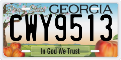 GA license plate CWY9513
