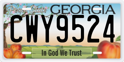 GA license plate CWY9524