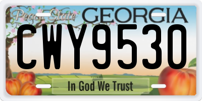 GA license plate CWY9530