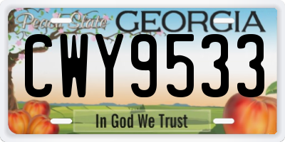 GA license plate CWY9533