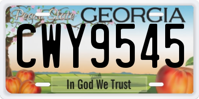 GA license plate CWY9545