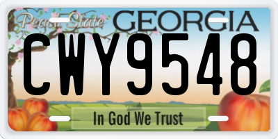 GA license plate CWY9548