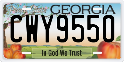 GA license plate CWY9550