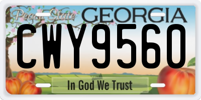 GA license plate CWY9560