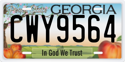 GA license plate CWY9564