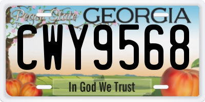 GA license plate CWY9568