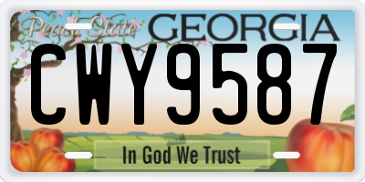 GA license plate CWY9587