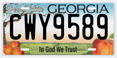 GA license plate CWY9589