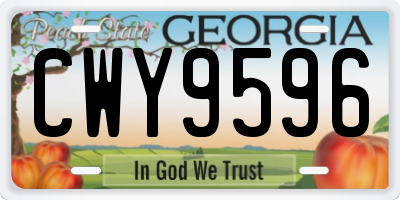 GA license plate CWY9596