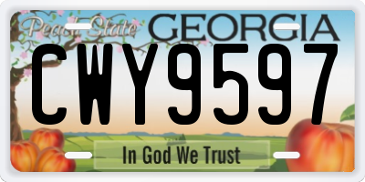 GA license plate CWY9597