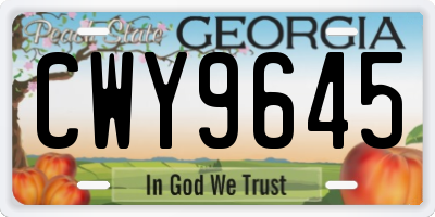GA license plate CWY9645