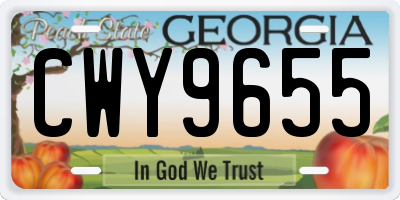 GA license plate CWY9655