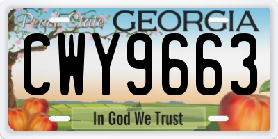 GA license plate CWY9663