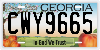 GA license plate CWY9665