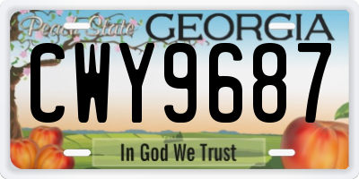 GA license plate CWY9687
