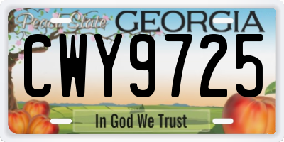 GA license plate CWY9725