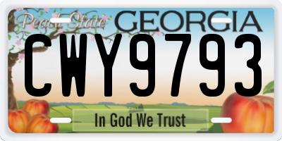 GA license plate CWY9793