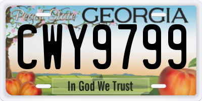 GA license plate CWY9799