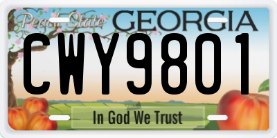 GA license plate CWY9801