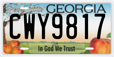 GA license plate CWY9817