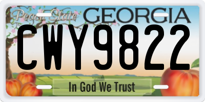 GA license plate CWY9822