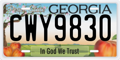 GA license plate CWY9830