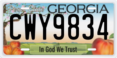 GA license plate CWY9834