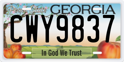 GA license plate CWY9837