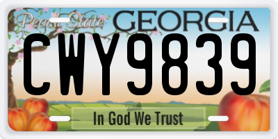 GA license plate CWY9839