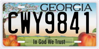 GA license plate CWY9841