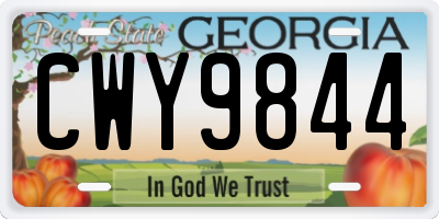 GA license plate CWY9844