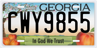 GA license plate CWY9855