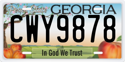 GA license plate CWY9878