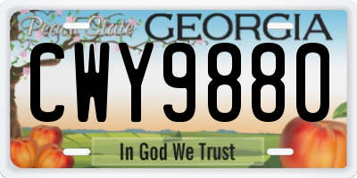 GA license plate CWY9880