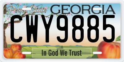 GA license plate CWY9885