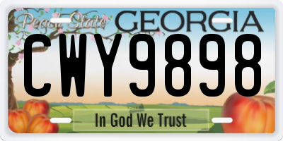 GA license plate CWY9898