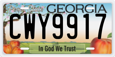 GA license plate CWY9917