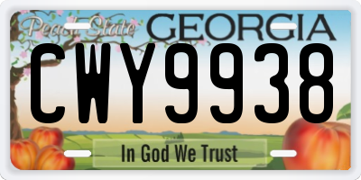 GA license plate CWY9938
