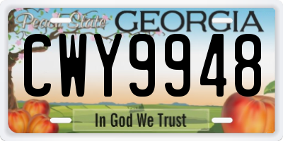 GA license plate CWY9948