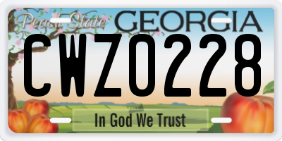 GA license plate CWZ0228