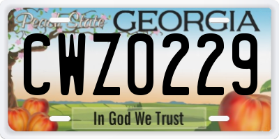 GA license plate CWZ0229