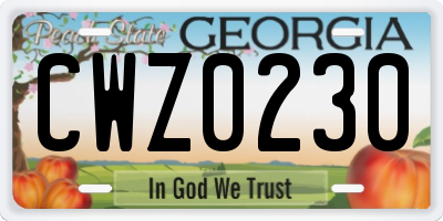 GA license plate CWZ0230