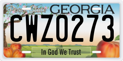 GA license plate CWZ0273