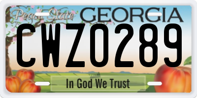 GA license plate CWZ0289