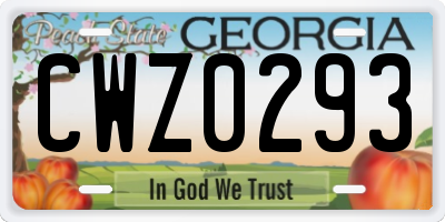 GA license plate CWZ0293
