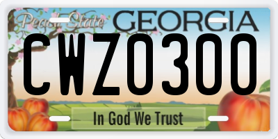 GA license plate CWZ0300