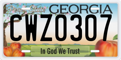 GA license plate CWZ0307
