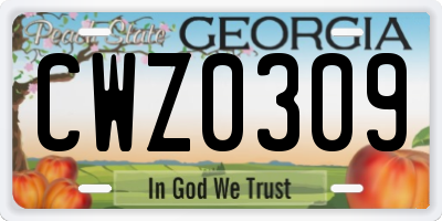 GA license plate CWZ0309